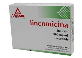 Lincomicina 300mg 6 amp Inyectable