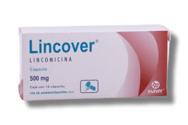 Lincover 500mg 16 Cap
