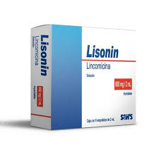 Lisonin 600mg 6 amp Inyectable